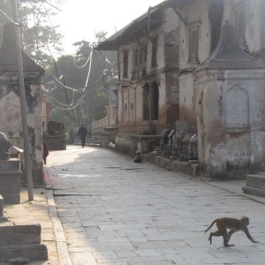 Pashupatinath