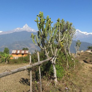 Annapurna mountains