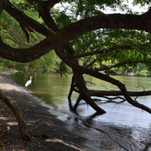 Isla Ometepe, Lake Nicaragua