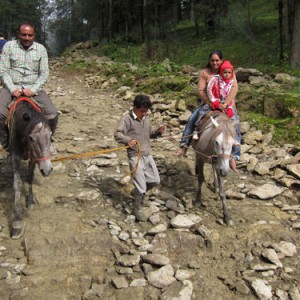 SHIMLA-KUFRI