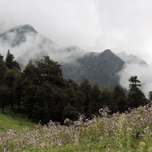 India-Manali