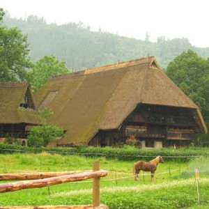 gutach open air museum