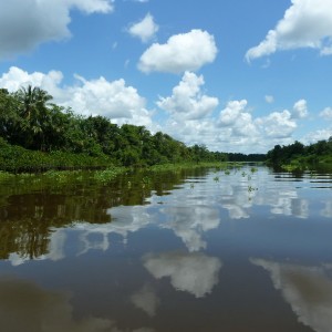 Orinoco Delta