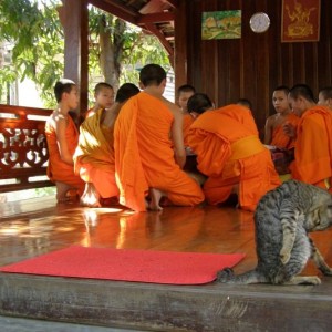 laos temple