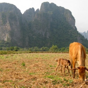 Laos