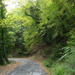 Άποψη του δρόμου προς τη Νέα Μονή Φιλοσόφου