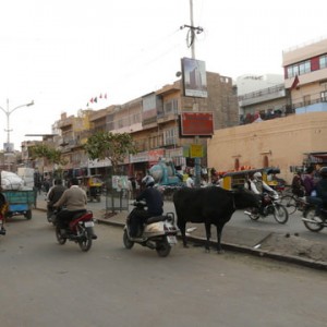 Jodhpur