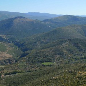 Το φαράγγι του Αλφειού (άποψη)