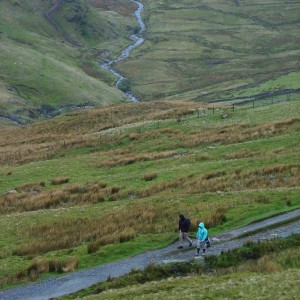 Snowdonia train