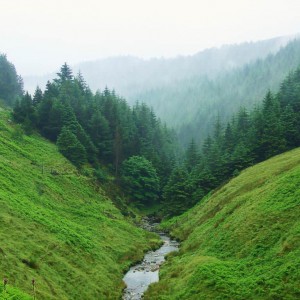 Peak District