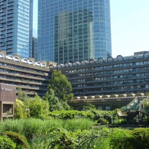 DSC03701