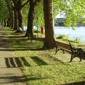 Kingston-upon-Thames