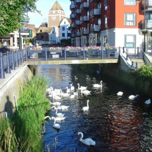 Kingston-upon-Thames