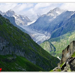 Aletsch Glacier