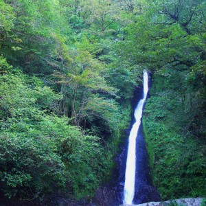 Lydford Gorge