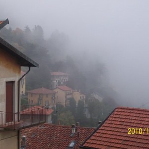 Brunate..