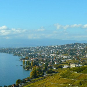 Lavaux vineyards