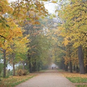 Lazienki Park,  Βαρσοβία
