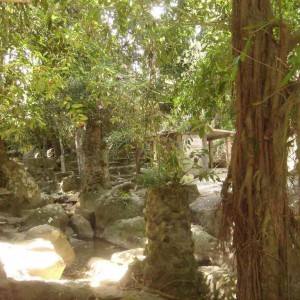 Buddha magic garden