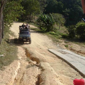 Samui safari