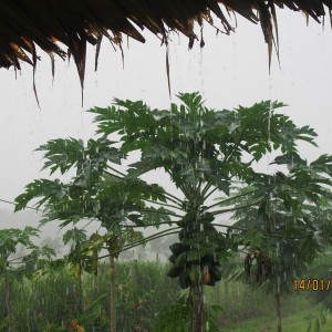 Life_in_the_village_20_