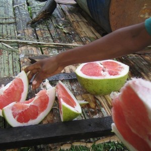 Life_in_the_village_3_