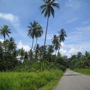Life_in_the_village_5_