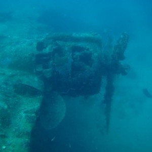 Diving_in_Solomon_Islands