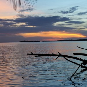 Russel_Islands_5_