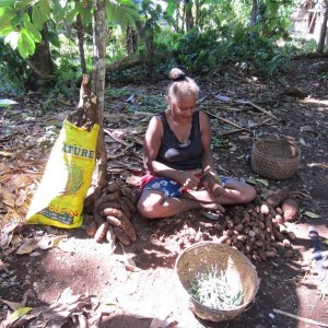 Makira-wogasia_festival_29_