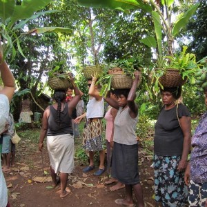 Makira-wogasia_festival_33_