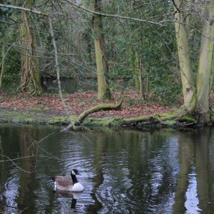 Wanstead Park