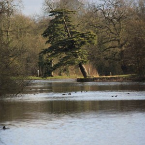 Wanstead Park