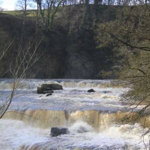 Aysgarth Falls