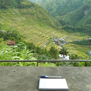 rice terraces