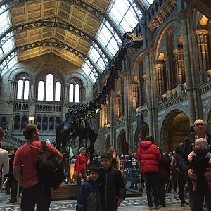 Natural History Museum, London