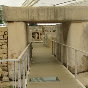 IMG_0562