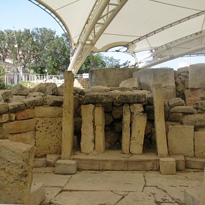 IMG_0550