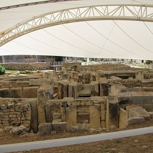 IMG_0521