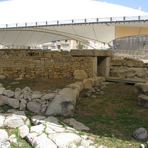 IMG_0514