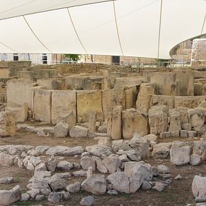 IMG_0525