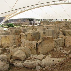 IMG_0522