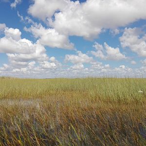 Everglades, Florida