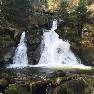 IMG_8829