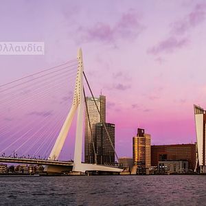 Erasmus bridge