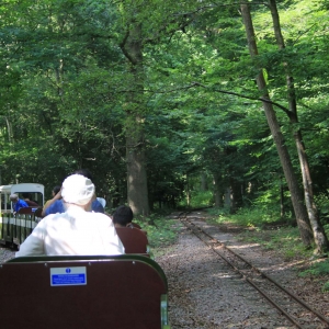 Miniature Railway Ruislip