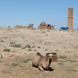 Harran