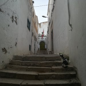 Medina of Tunis.jpg