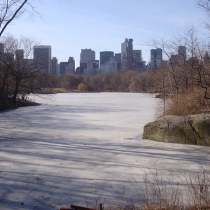 Central Park on ice