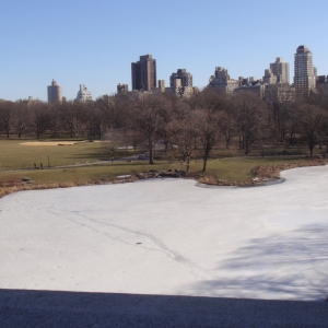 Frozen Lake